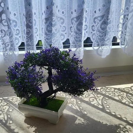 Appartamento Jezdziecki *