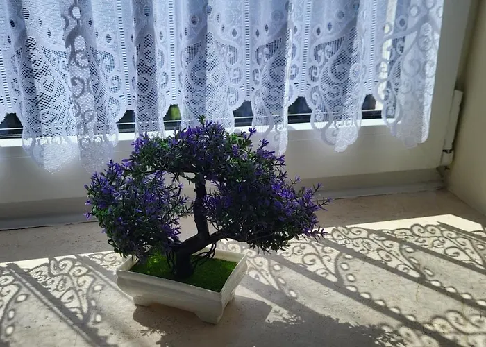 Apartment Jezdziecki *